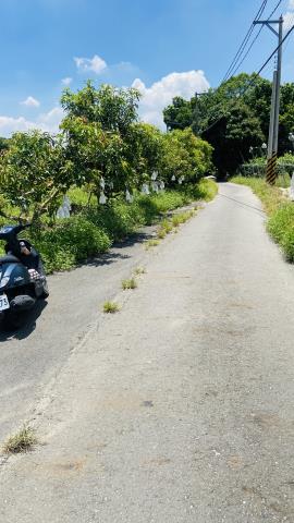 台南玉井農地-8