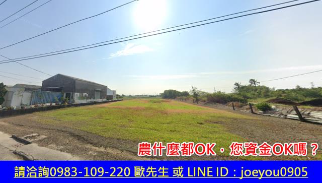 仁德法拍農地-10