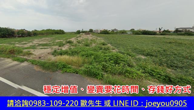 將軍法拍農地-10