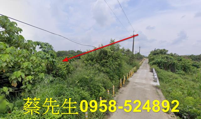 台南玉井農地法拍-12