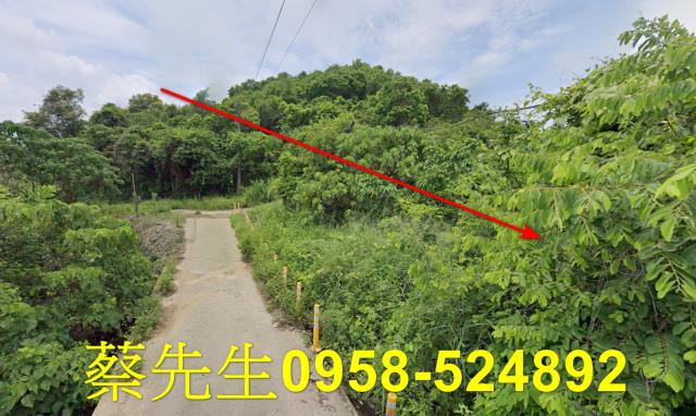 台南玉井農地法拍-13