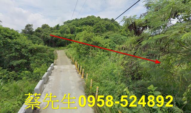 台南玉井農地法拍-6