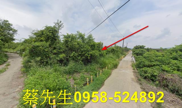台南玉井農地法拍-9