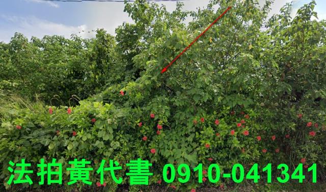 台南法拍農地-1