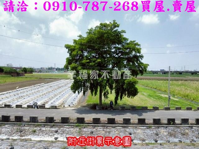 台南新市農地-14