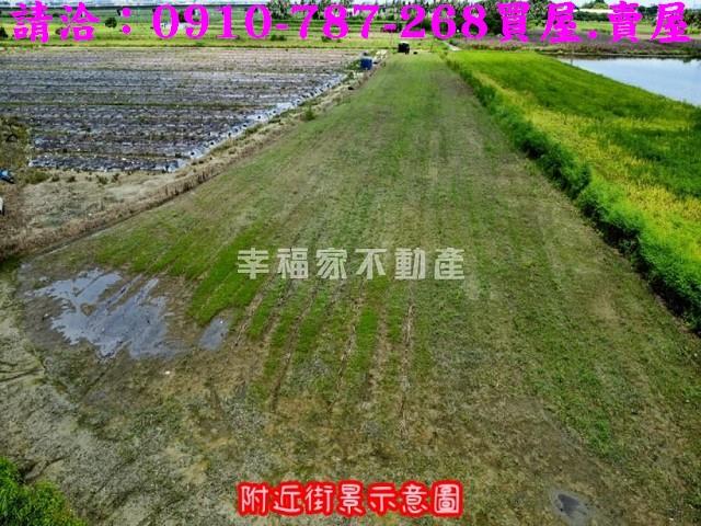 台南新市農地-4