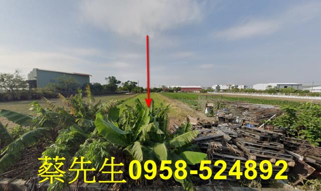 台南農地法拍-9
