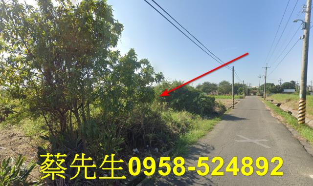 台南拍賣農地-12