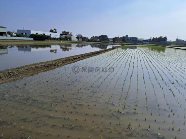 歸仁農地-1