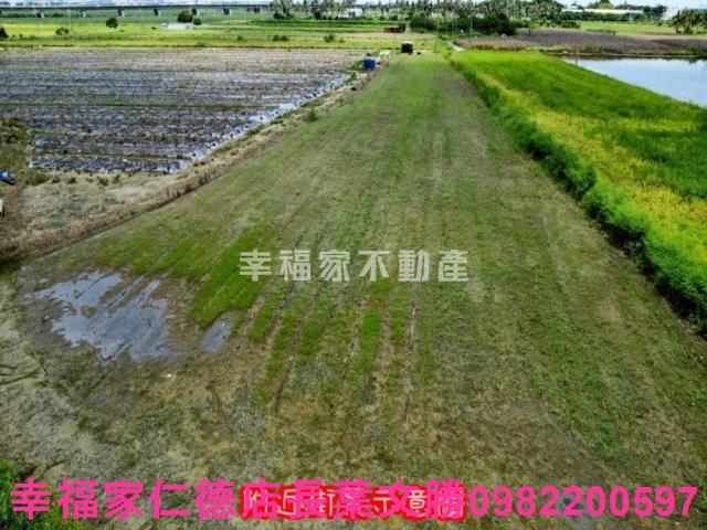 台南新市農地-11