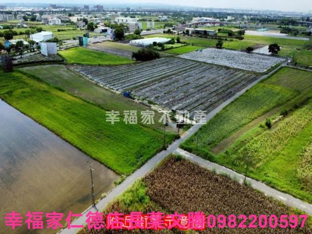 台南新市農地-7