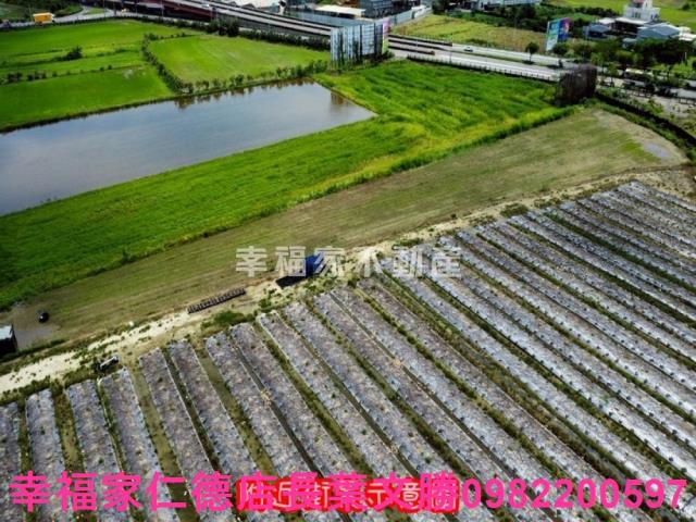 台南新市農地-9