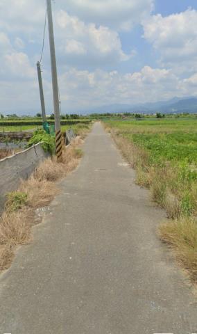 台南農地法拍-10