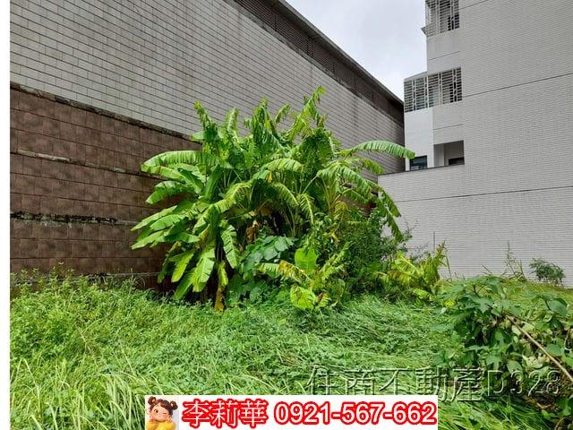 台南建地-6