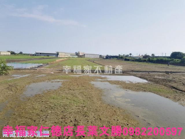 安南農地-15
