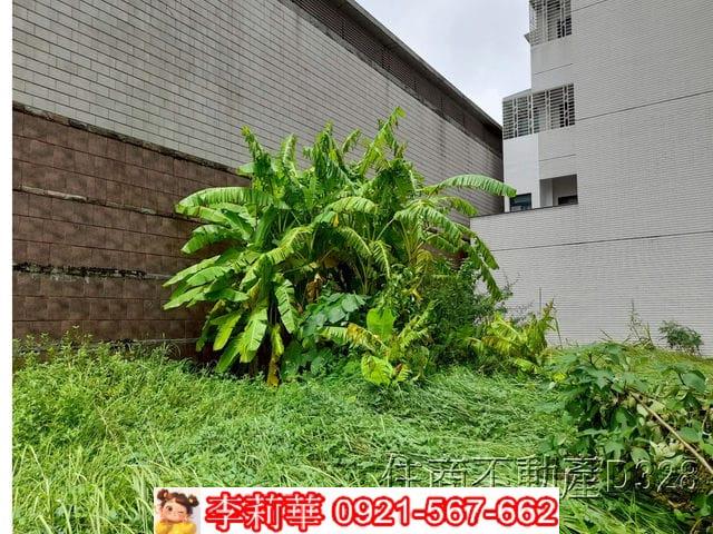 北區建地-6