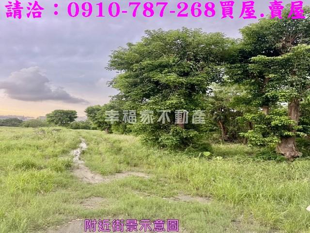 台南新市農地-4