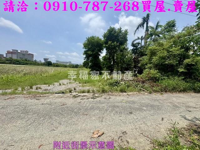 台南新市農地-5