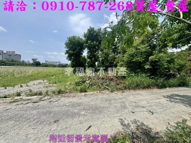 台南新市農地-7