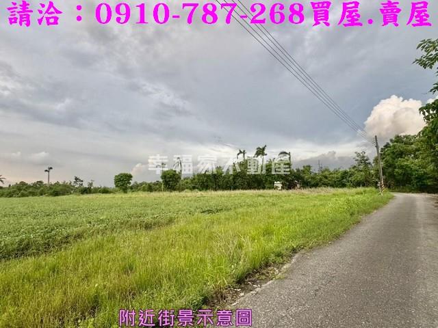 台南新市農地-8