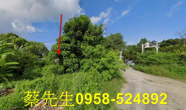 台南南區拍賣農地-7