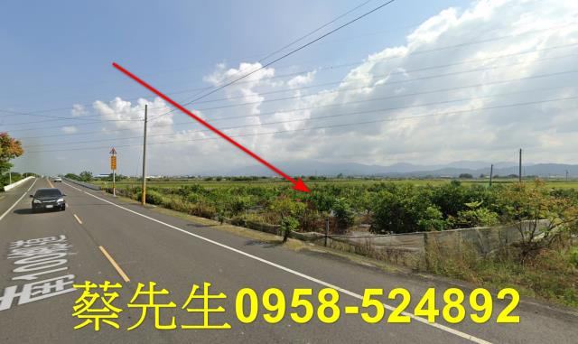 台南東山農地拍賣-14