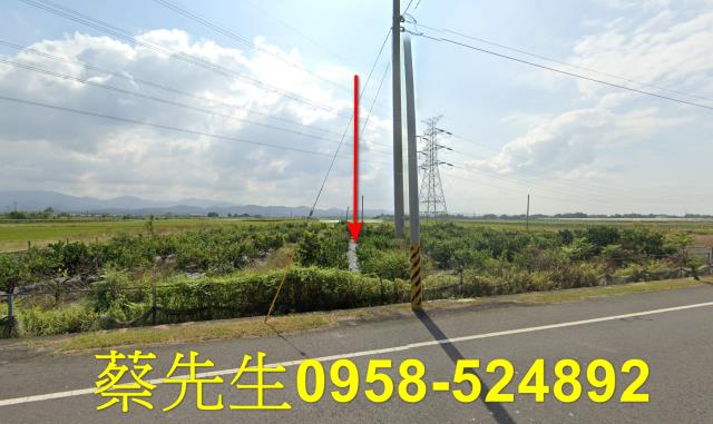台南東山農地拍賣-9