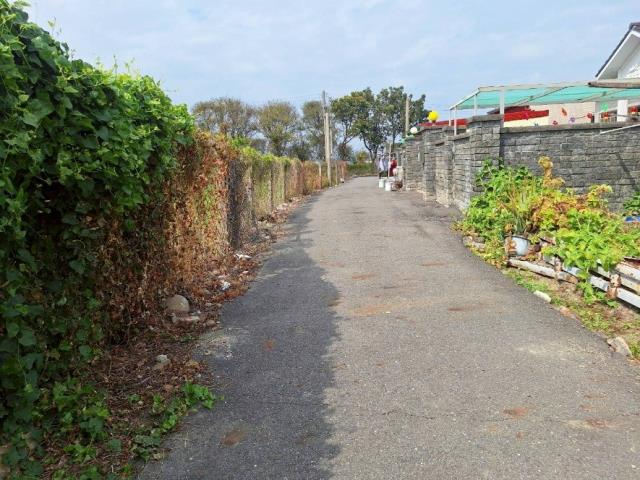 台南麻豆農地-1