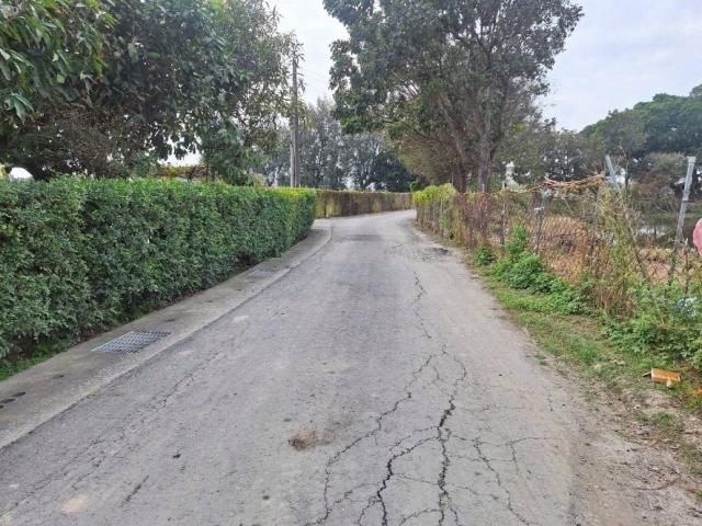 台南麻豆農地-5