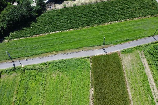 台南仁德農地-10