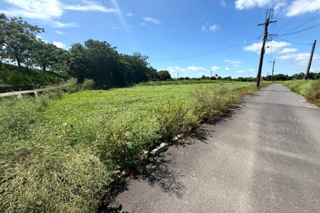 台南仁德農地-11