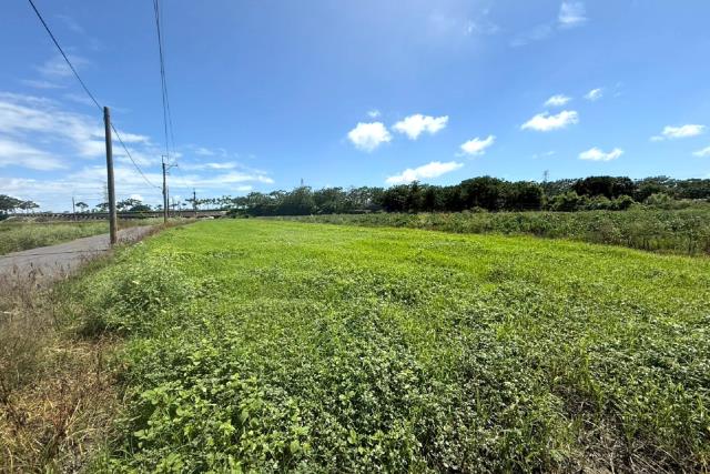 台南仁德農地-1