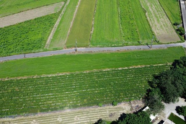 台南仁德農地-7