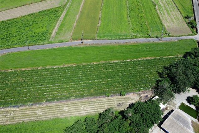 台南仁德農地-8