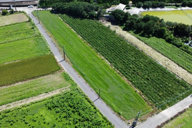 台南仁德農地-9