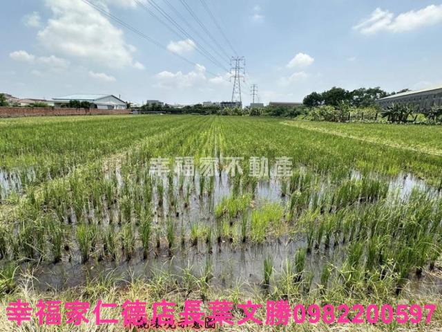 台南農地-5