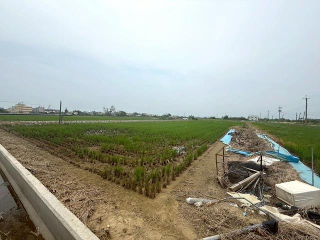 新營農地-4