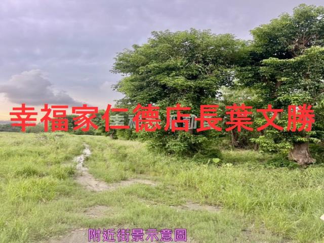 台南新市農地-11