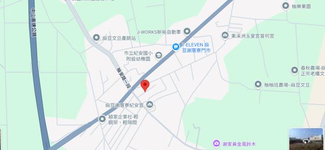 台南麻豆法拍建地-6