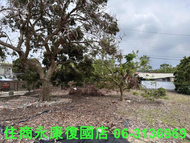 台南建地-6