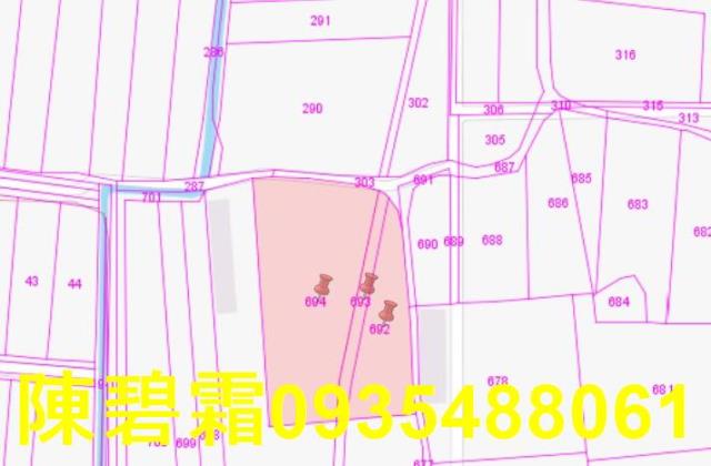 台南麻豆農地-5