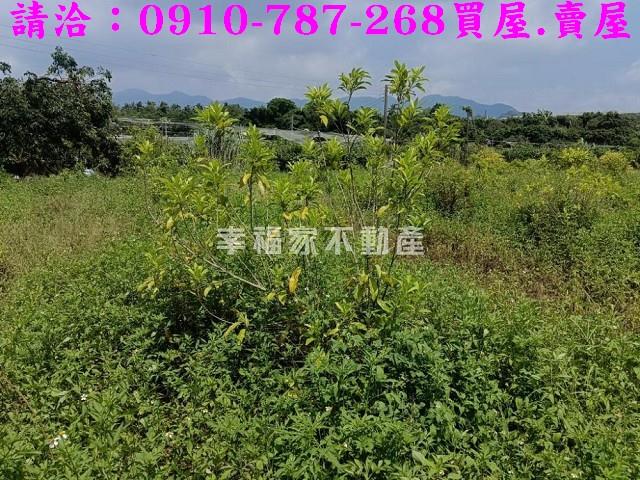 台南農地-8