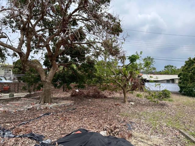 台南東山建地-4