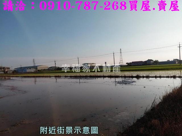 台南官田農地-14
