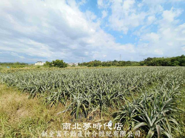 台南山上農地-1