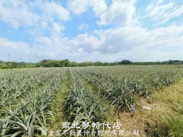 台南山上農地-2