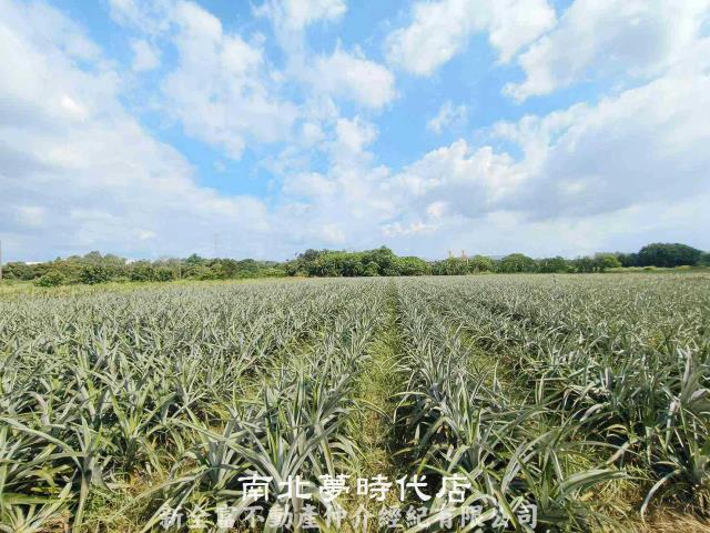 台南山上農地-3