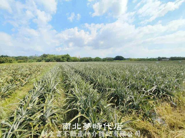 台南山上農地-6