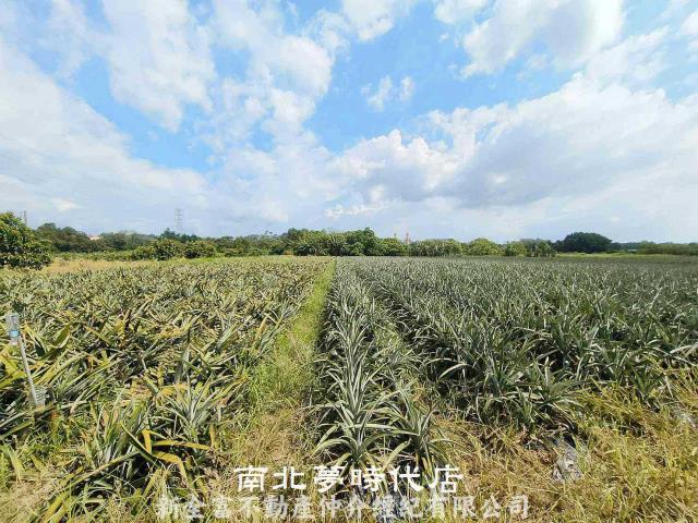 台南山上農地-7