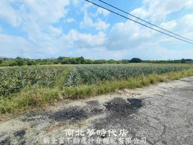 台南山上農地-9